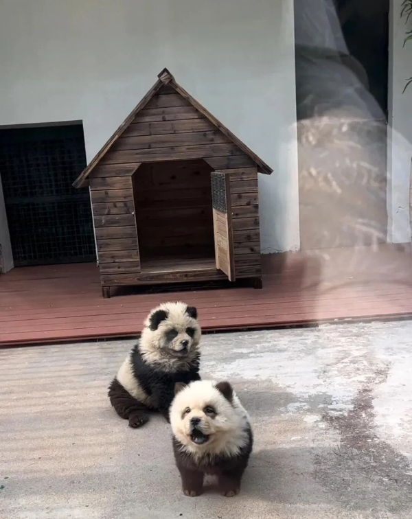 1767864656351006806.jpg 图片1324 (1).jpg