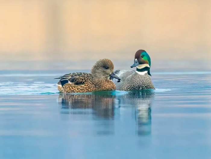 1767864677334062680.jpg 图片6.jpg