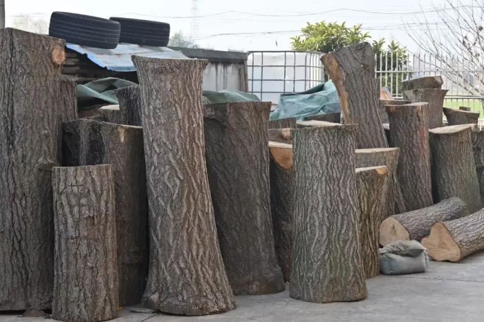 1769152433781011822.jpg 图片4.jpg