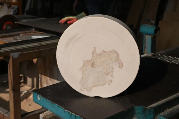 1769152448157085338.jpg 图片5.jpg