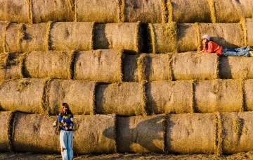 Take photos with 'Swiss rolls' in Yantang village of Taizhou