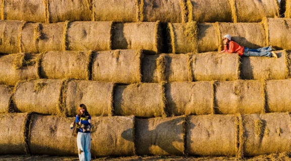 Take photos with 'Swiss rolls' in Yantang village of Taizhou
