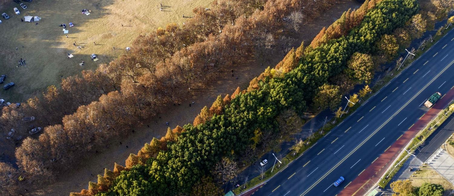 Taizhou zone turns into poetic world in early winter