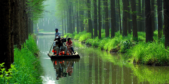 1749716689752015651.jpg 8960110723408485642.jpg