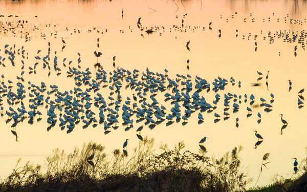 1767685958513040194.jpg 1.jpg