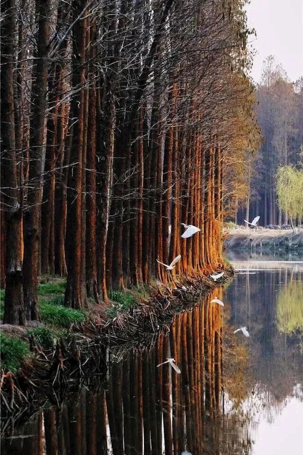 1767685972471093459.jpg 2.jpg