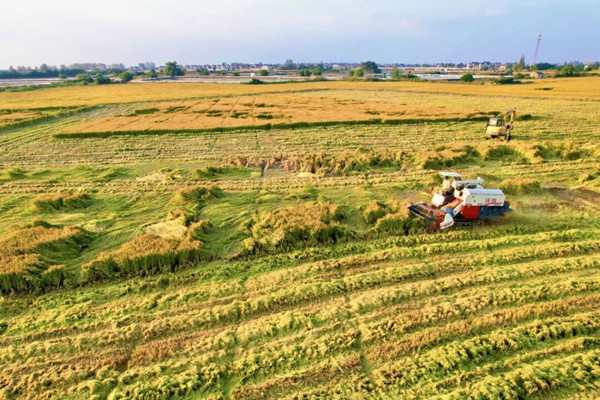 1763634318706026772.jpg 1.jpg