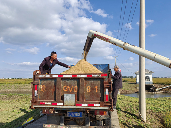 1763634348680088013.jpg 2.jpg