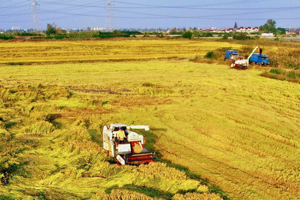 1763634359636051157.jpg 3.jpg