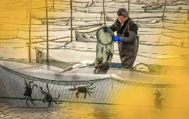 Xinghua works to integrate agriculture, culture and tourism