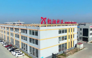 Xinghua's center on intelligent sorting equipment design, manufacturing honored