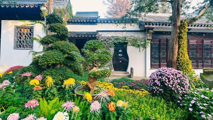 1764828898219064602.jpg 1.jpg