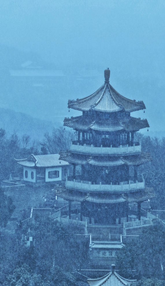 1768974533516003781.png 刘楠.png