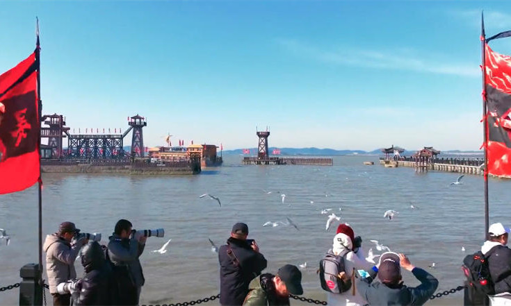 Enjoy black-headed gull sightings at Wuxi's theme park