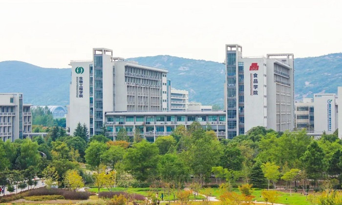 Jiangnan University celebrates 22 teachers named among top global scientists