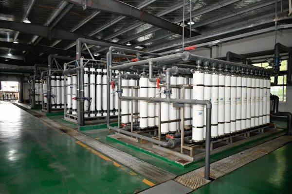 1765174257263014487.jpg zjg 5 600.jpg