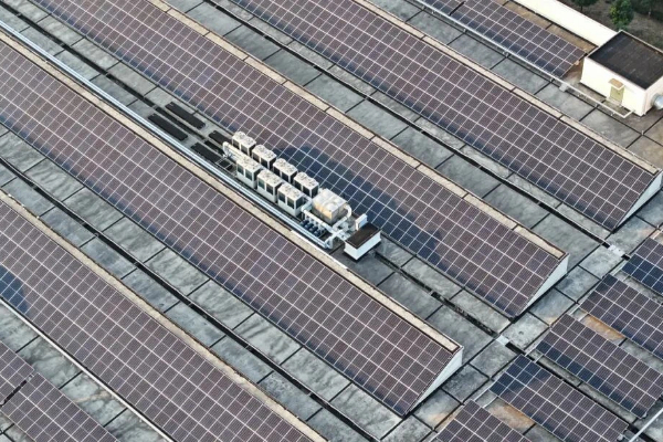 1765174277128056820.jpg zjg 5.2 600.jpg