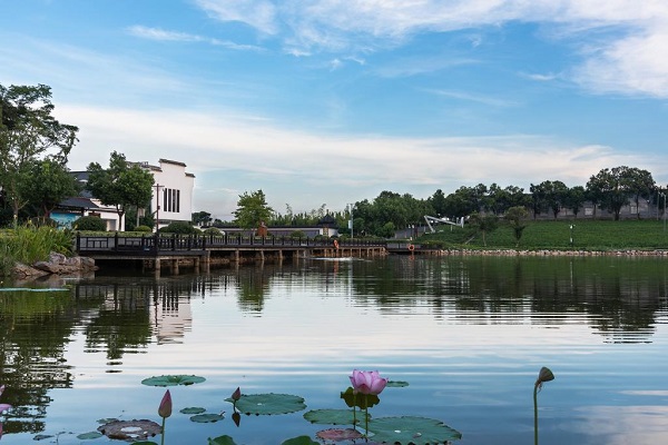 Jiangsu graduate brings Chinese garden design to Senegal