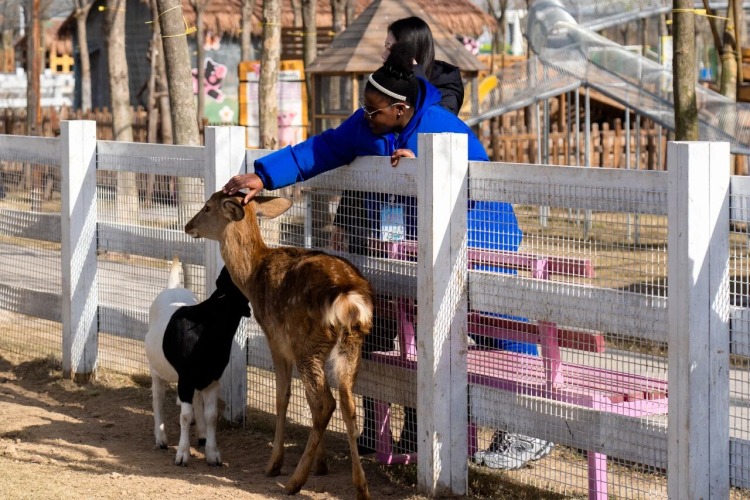 1767692827756034349.jpeg imgi_21_W020251204593445059646.jpeg