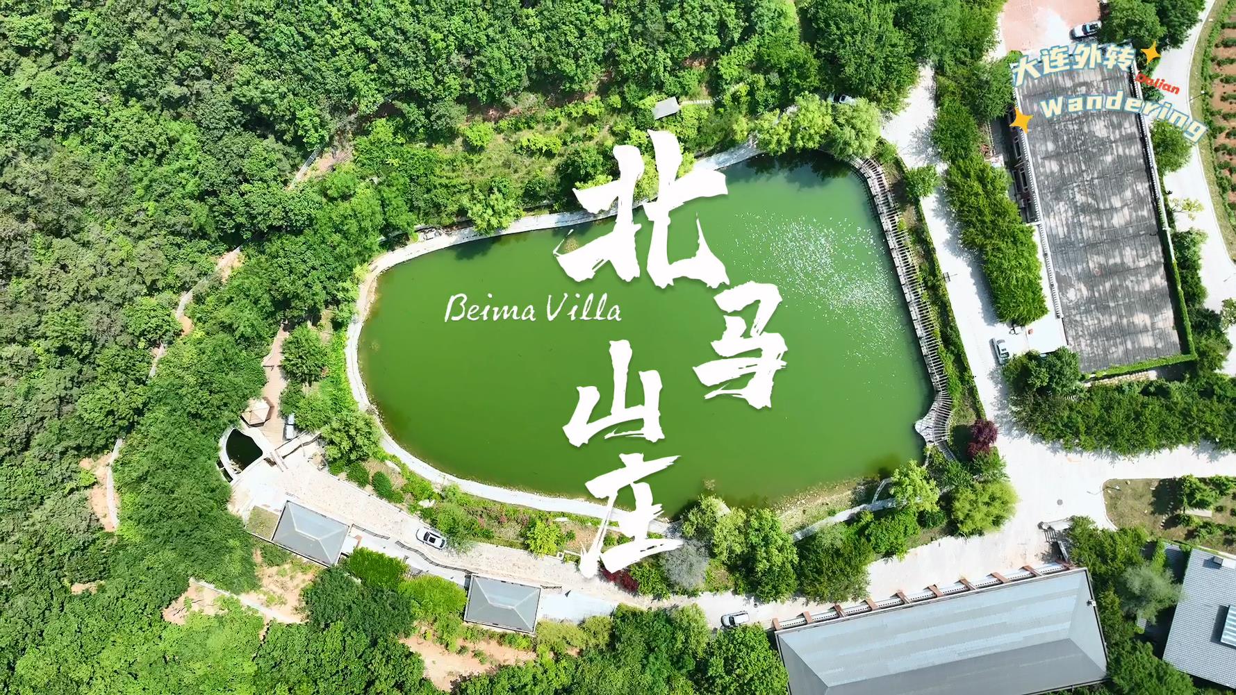 Wandering in Dalian | Beima Villa