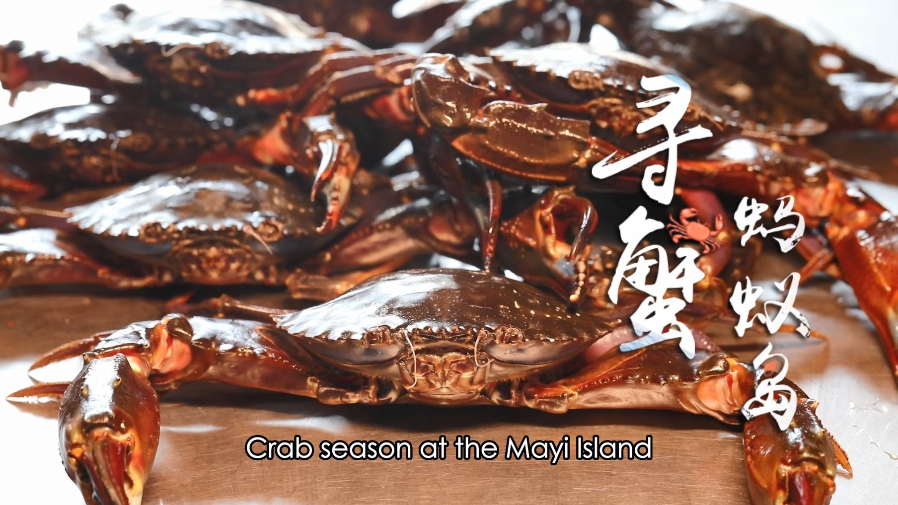 Crab season on Mayi Island