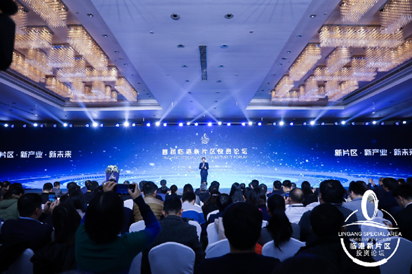 1576045322944074751.png lingangspecialareainvestmentforum.png