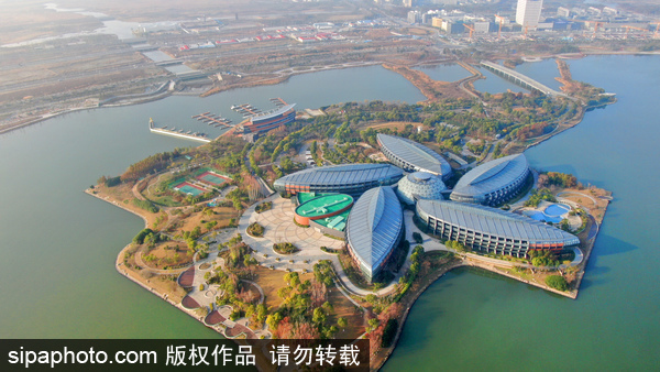 1578994559452022293.jpg lin-gang special area.jpg