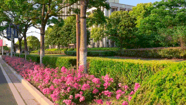 1589508303694013938.gif 1.gif