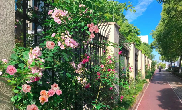 1589508321550047873.jpg 3.jpg