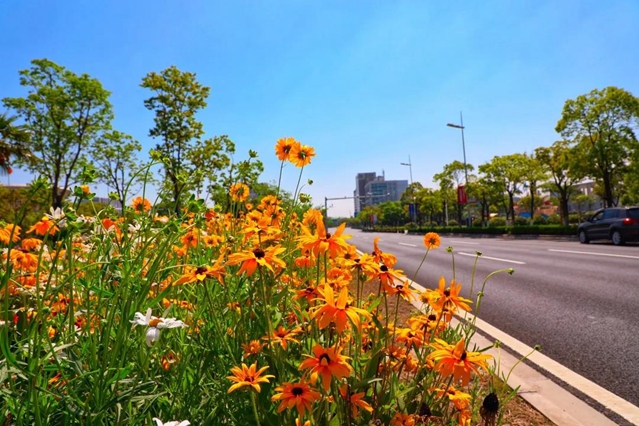 1589508327355083620.jpg 4.jpg