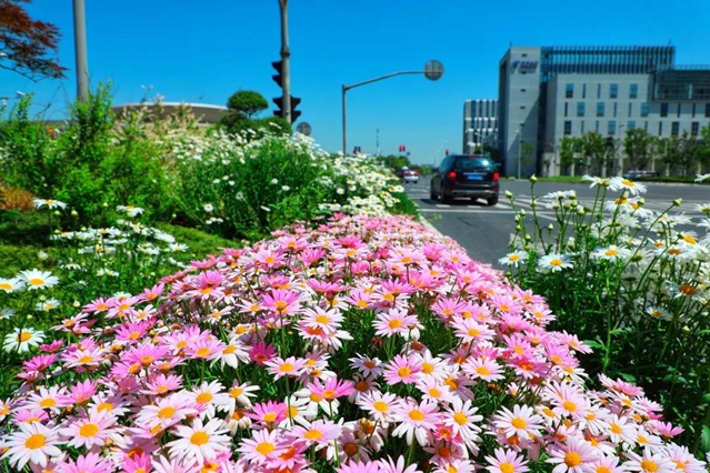 1589508333182063472.jpg 5.jpg