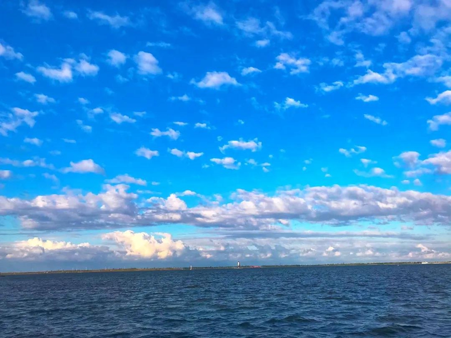 1601197713106005439.jpg 1.jpg