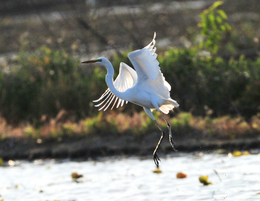 1611805351798064611.jpg 924917724077097085.jpg