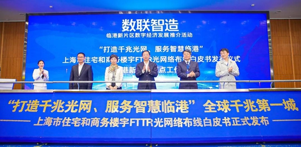 Lin-gang Special Area launches dedicated internet access.jpg