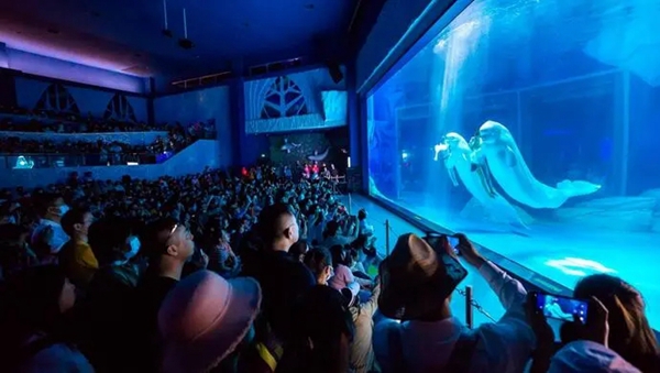 Haichang Ocean Park lures tourists with great new features.jpg