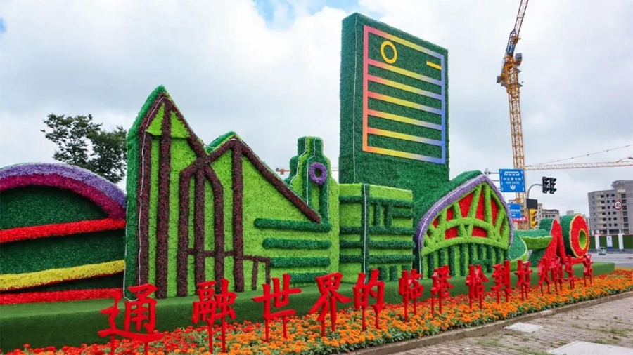 1625027250052001506.jpg 5.jpg