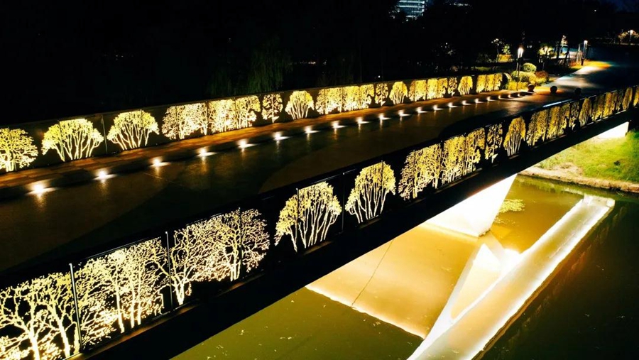 Bridges illuminate Lin-gang Special Area at night4.jpg