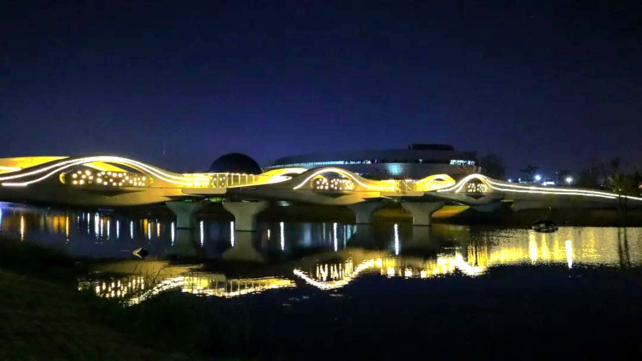 Bridges illuminate Lin-gang Special Area at night5.jpg