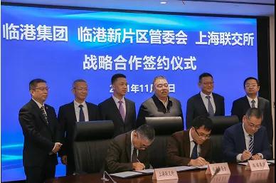 1638328678339085548.jpg 12.jpg