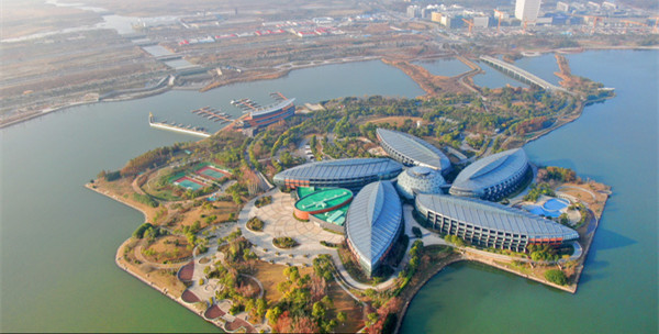 lin-gang special area.jpg