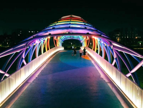 Bridges illuminate Lin-gang Special Area at night3.jpg