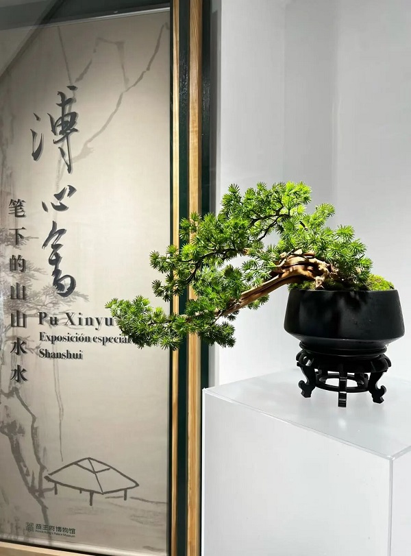 1767597330100059420.jpg 1766976770859_51023副本.jpg