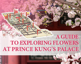 A guide to exploring flowers at Prince Kung's Palace