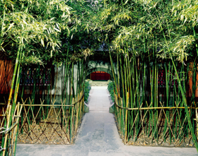 Bamboo Courtyard