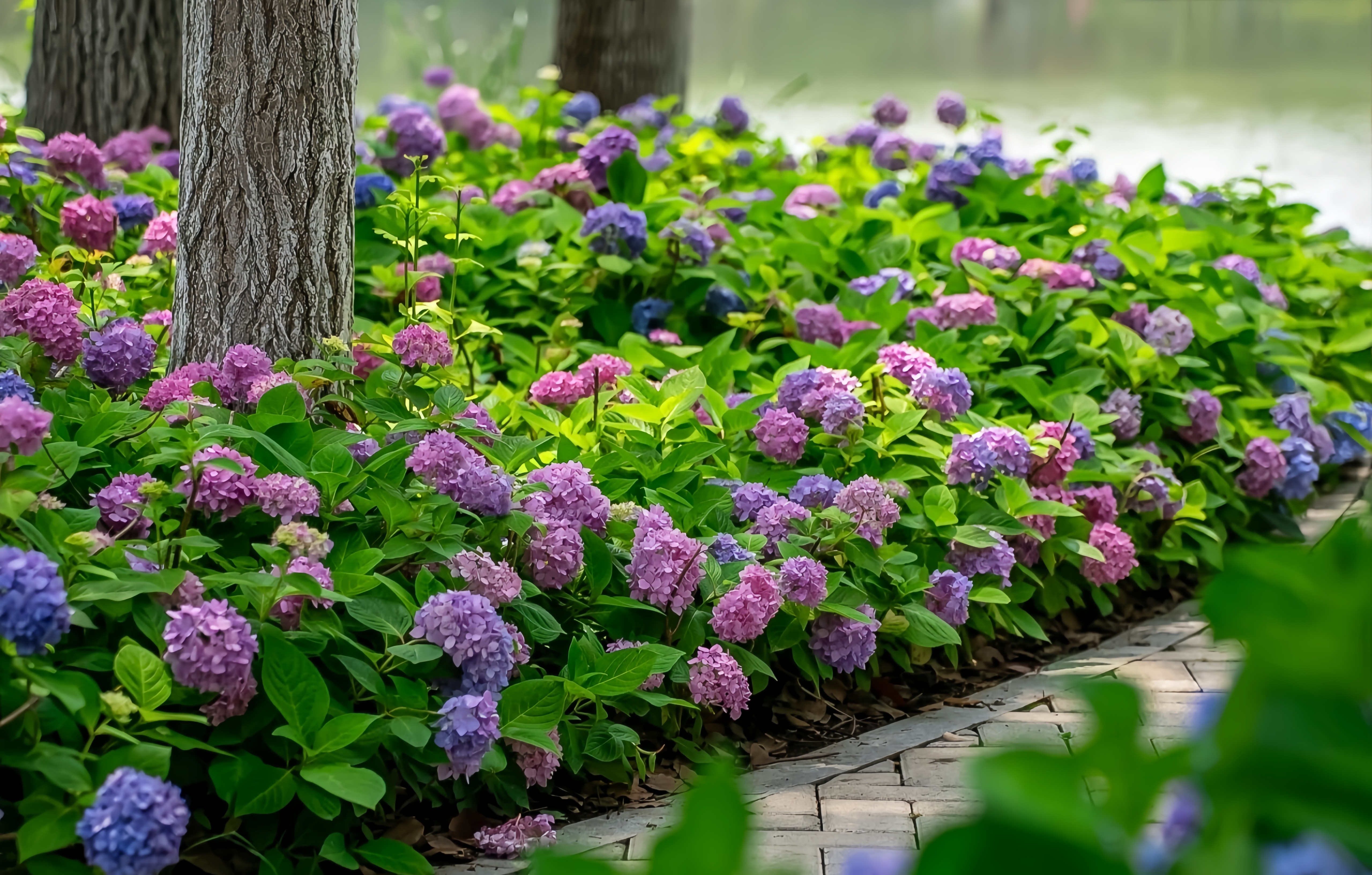 1750928349728012325.jpg 1750928349728012325.jpg