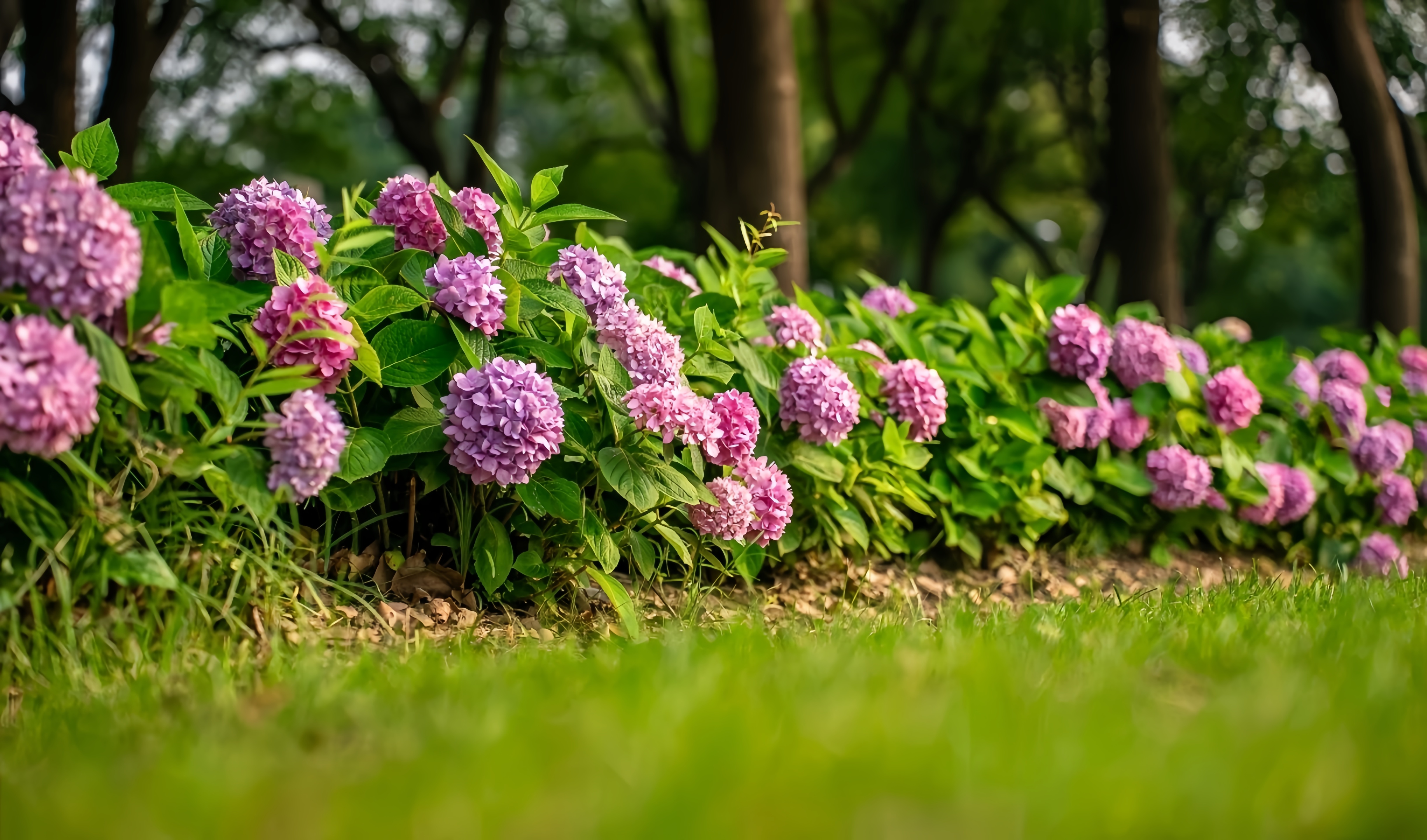 1750928382312073679.jpg 1750928382312073679.jpg