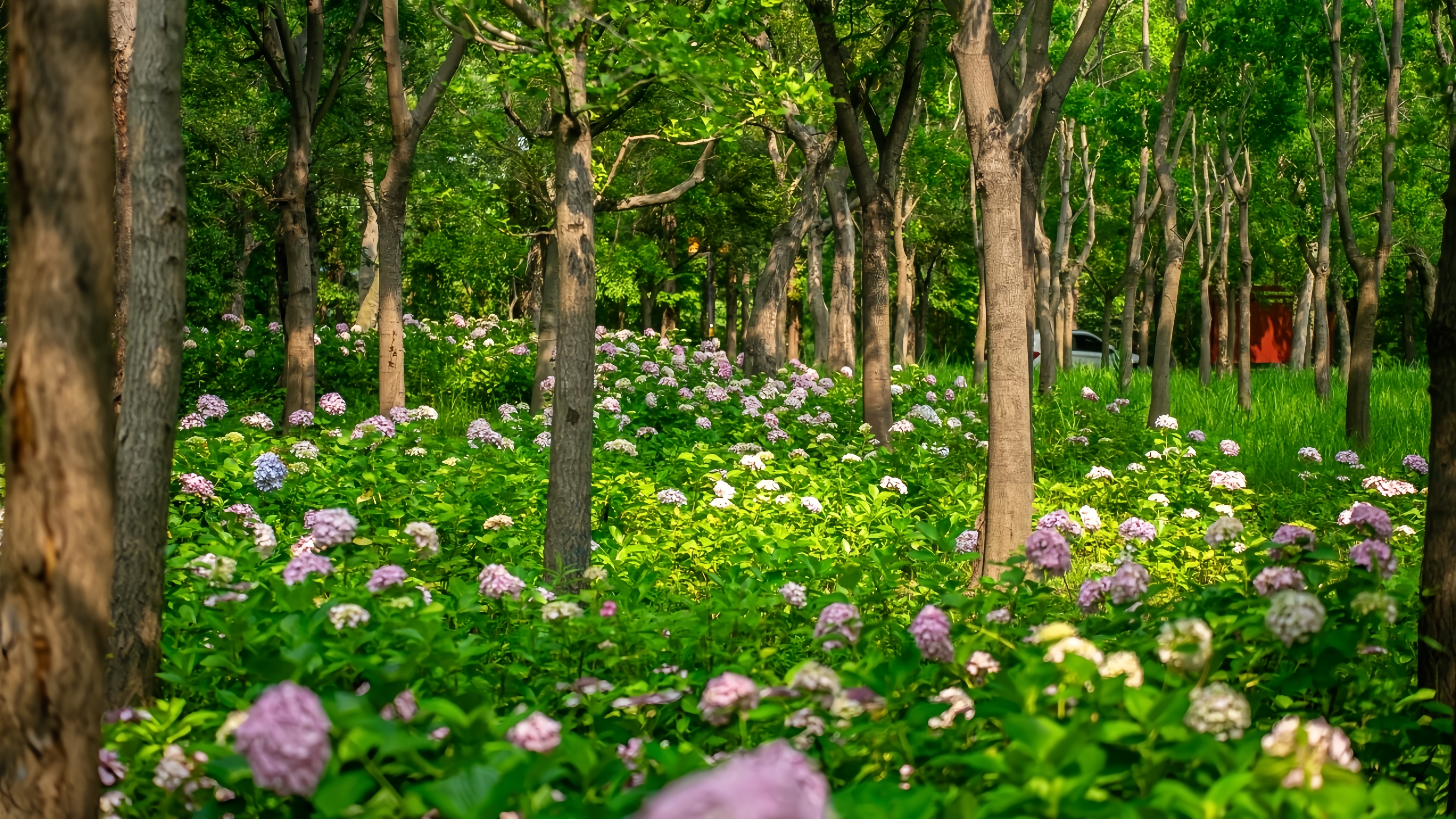 1750928417193075694.jpg 1750928417193075694.jpg