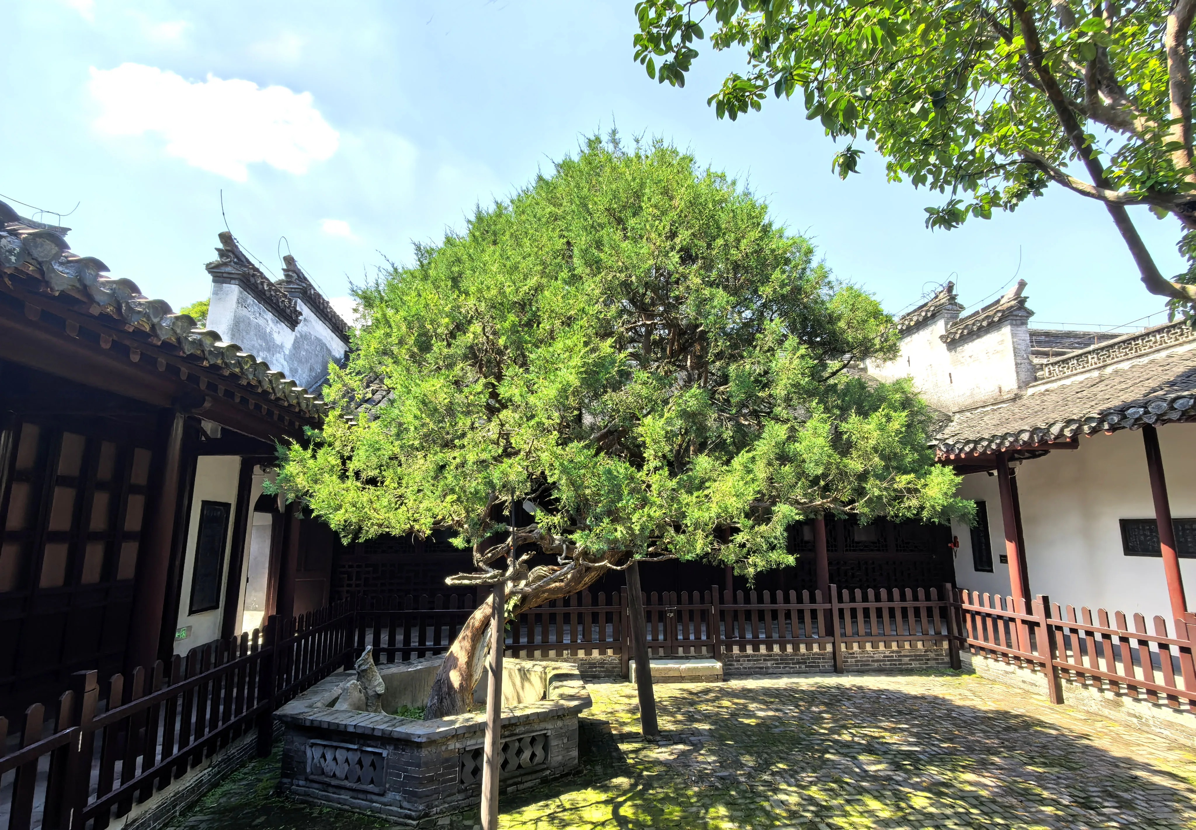 1751620113649007721.jpeg 1751620113649007721.jpeg