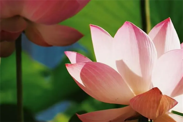 1752218900901062123.png 图片2_副本.png