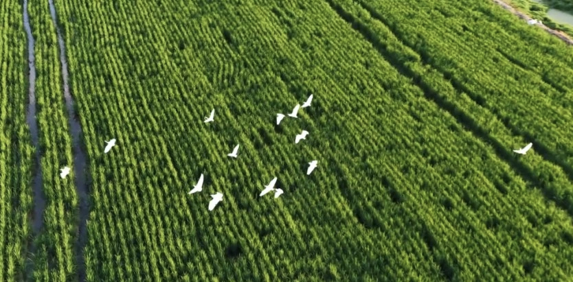 1756793203815041078.png 1756793203815041078.png